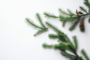 Christmas Tree Branches On White Background. Christmas Eve. Generative AI