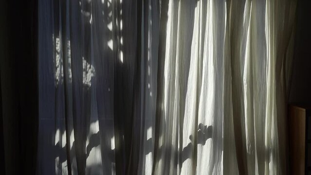 Morning sunlight in the window. Shadows from the curtains in the living room.