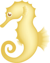 タツノオトシゴ