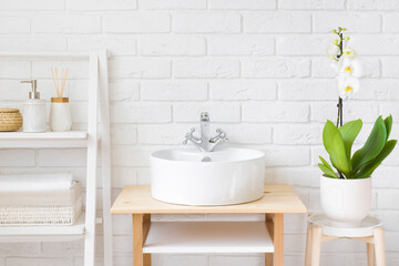 Fototapeta na wymiar Green plant and shelf beside vessel sink in bathroom interior
