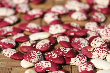 Big size kidney beans kept for sundry with maroon and white spots