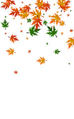 Golden Foliage Background White Vector. Plant Decoration Design. Colorful Seasonal. Flag Template. Ocher Leaf Logo.