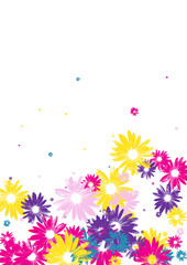 Green Petal Background White Vector. Flowers Beauty Template. Pink Daisy Element. Fabric Card. Style Colorful Chamomile.
