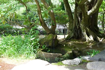 An old stone tub in the Japanese garden at Kenroku-en