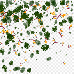 Light Green Leaf Background Transparent Vector. Palm Garden Backdrop. Green Plant. Stylish Pattern. Red Ornament Design.