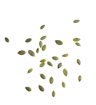 Pumpkin Seeds Falling Png