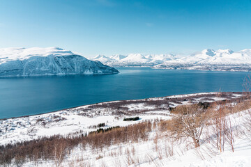 The view on the fjord in winter Lyngen Alps, Norway 