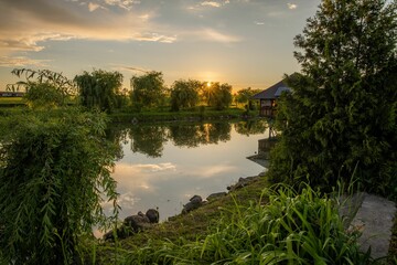 Fototapeta na wymiar Idyllic scene featuring a tranquil pond surrounded by lush green trees and bushes at sunset.