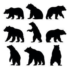Bear silhouette set - isolated vector images of wild animals