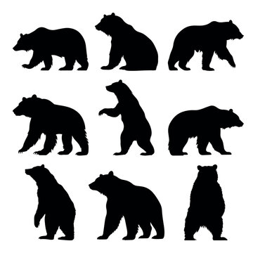 Bear silhouette set - isolated vector images of wild animals