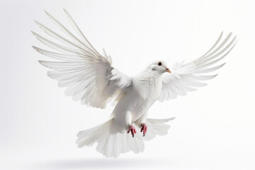 Obraz premium Embrace the beauty of nature as a white bird takes to the sky, its wings spread wide against a backdrop of stunning natural scenery. AI Generative.