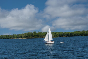 Obraz premium Lone sailboat sailing home to the bay