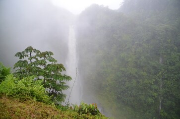 Wasserfall Hawaii