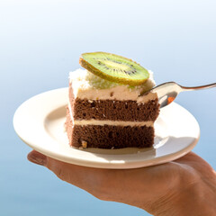 Chocolate cake with slice of kiwi in a plate on background of the sea.