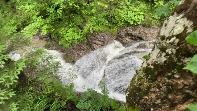 Drone shot of forest waterfall surrounded by vegetation