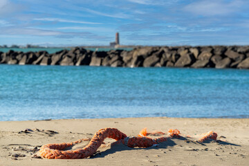 Fototapeta premium Matinée calme au bord de mer