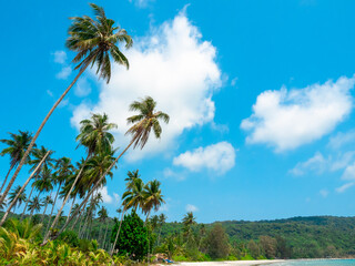 Naklejka premium Seascape backgrounds concept. Summer background with tropical coconut palm tree, green mountain island, water sea and sandy beach on blue sky on sunny day, summertimes scene, holiday vacation scene.
