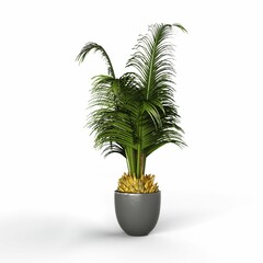 3D rendering of a tall green plant on a creamic pot on white background