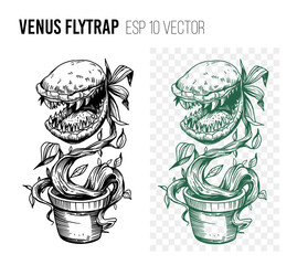 Venus flytrap sketch illustration. Vector outline on transparent background. Great for t-short print - obrazy, fototapety, plakaty