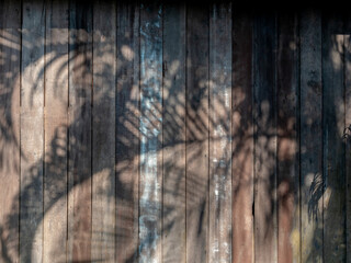 Old vintage wooden plank wall background with summer natural tree shadow. Rustic wood panel wall shaded by tropical palm leaves. Palm leaves shadows on a grunge wooden surface.