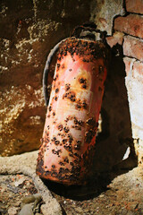 Severely rusted fire extinguisher in moist basement