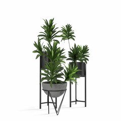 Closeup shot of green plants in modern black and gray flowerpot construction