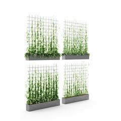 3D rendering of concrete pot hanging plants isolated on a white background