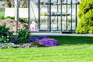 Greenhouse from glass in spring garden. Items for gardening on the background of a flowering lawn....
