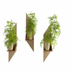 3D rendering of plant decorations on shelves isolated on a white background