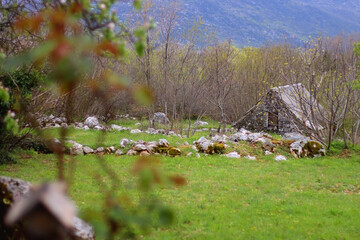 Old traditional Mediterranean cottage and wild flowers in the meadow. Spring in the countryside. Selective focus.