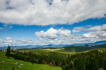 Obraz premium Beautiful view of green hills with lush woods against the background of the cloudy blue sky.