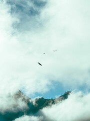 Vertical shot of a mountain peak covered in clouds