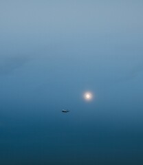 Fototapeta na wymiar Vertical shot of a plane flying in the cloudy sky