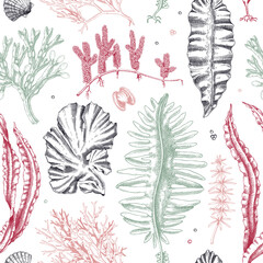 Edible seaweed seamless pattern. Hand-drawn sea vegetables - kelp, kombu, wakame, hijiki  drawings. Underwater algae design in sketch style. Asian cuisine menu or healthy food background