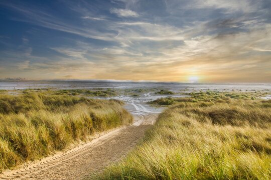 Dunes at the Beach of Amrum, Germany, Europe