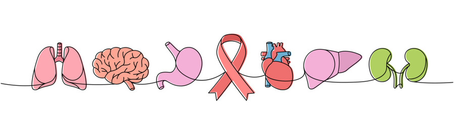 Lungs, brain, stomach, heart, liver, kidneys one line colored continuous drawing. Cancer awareness ribbon, AIDS ribbon one line colorful illustration.