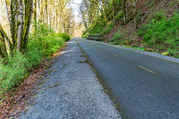 Scenic Cedar River Trail 4