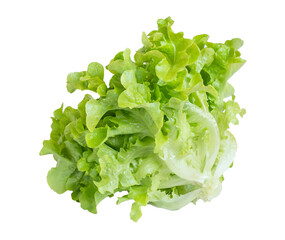 Lettuce isolated on transparent background.