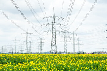 A lot of high-voltage power line, transmission tower overhead line masts, high voltage pylons as...
