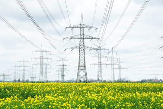 A lot of high-voltage power line, transmission tower overhead line masts, high voltage pylons as power pylons on the fields.