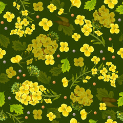 Pattern rape flowers and seeds, canola. Brassica napus. Seamless vector background.