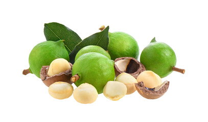 macadamia nuts with leaf isolated on transparent png
