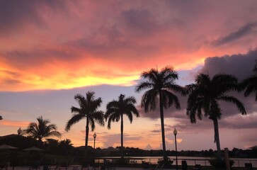 Fototapeta na wymiar palm trees at sunset to Miami - Florida