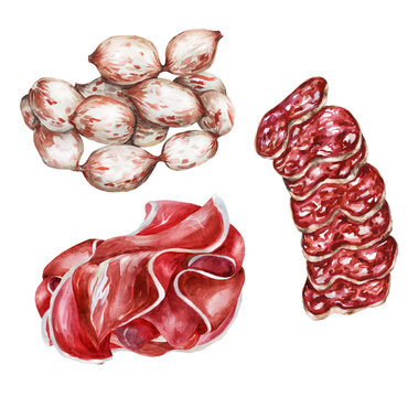 Italian delicacies of prosciutto, soppressata and mini salami. Watercolor illustration