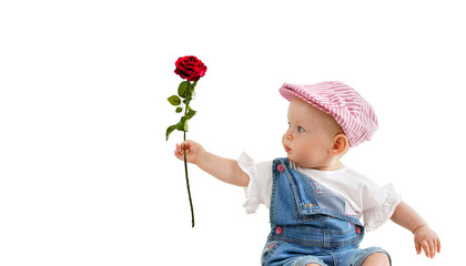 eine rote Rose verschenken zum Muttertag