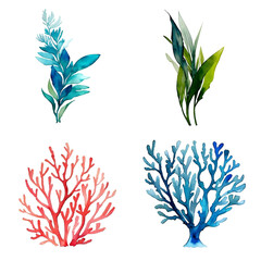 Hand drawn watercolor sea themed elements. Illustration generative ai isolated on white background. Watercolor sea coral and seaweed clipart. - obrazy, fototapety, plakaty