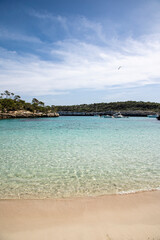 Obraz premium Cala Mondragò nell'isola di Maiorca, Spagna; nel Parc Natural Mondragò, una delle zone più affascinanti dell’isola grazie alle dune di sabbia, alle foreste di pini, alle splendide baie sabbiose.