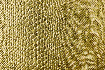 Imitation leather reptile gold color.