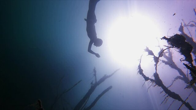 freediver girl diving in underwater forest slow motion shot. freediving apnea woman free diving in a blue water with magic and mysterious lightning