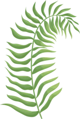Stickers meubles Monstera tropical leaf